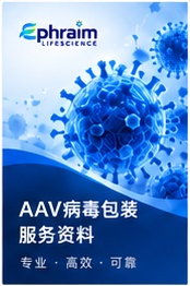 AAV病毒包装服务资料(样例)封面