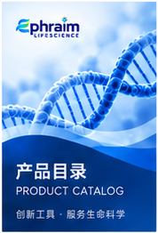 产品目录(样例)封面