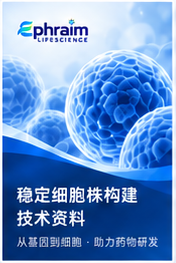 稳定细胞株构建资料(样例)封面